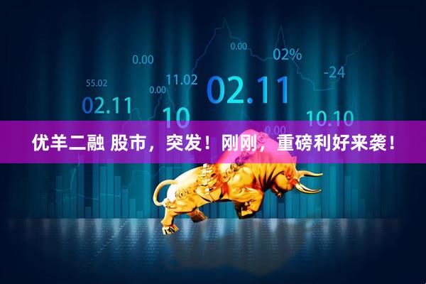 优羊二融 股市，突发！刚刚，重磅利好来袭！