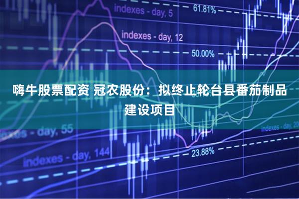 嗨牛股票配资 冠农股份：拟终止轮台县番茄制品建设项目