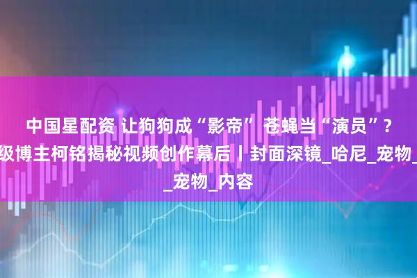 中国星配资 让狗狗成“影帝” 苍蝇当“演员”？千万级博主柯铭揭秘视频创作幕后丨封面深镜_哈尼_宠物_内容