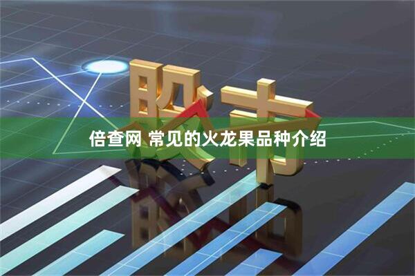 倍查网 常见的火龙果品种介绍