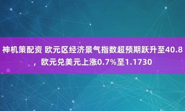 神机策配资 欧元区经济景气指数超预期跃升至40.8，欧元兑美元上涨0.7%至1.1730